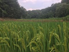 -毛泽东同志旧居