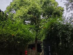 -五凤溪古镇