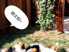 -天津梅江中心皇冠假日酒店