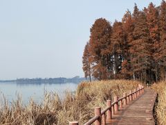 -东湖落雁景区