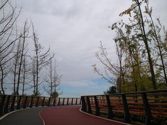 -府河摄影公园