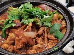 鸡鸡蛙蛙中煲-川香煲(茅台路店)