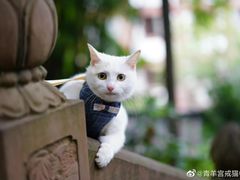 -泥糊破店小酒馆·团建聚餐(南京西路店)