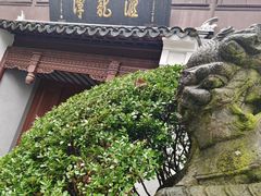 -汇龙潭