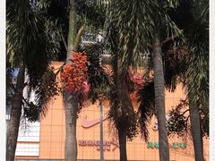 -大润发(国兴店)