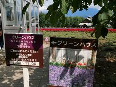 -富田农场