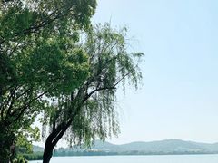 -无锡蠡湖国家湿地公园-蠡园