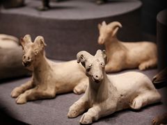 -广西壮族自治区博物馆