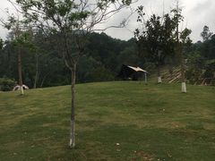 -马峦山郊野公园
