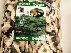 -蘑统田下·野生菌火锅