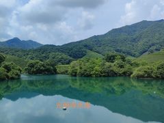 -龙坞茶村