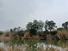 -白鹭湾湿地公园