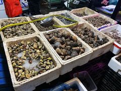 -众彩物流水产市场