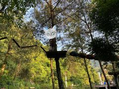 -梦幻奥陶纪景区