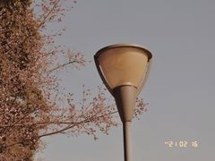 -望江楼公园