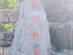 -大岭沟猕猴桃谷风景区