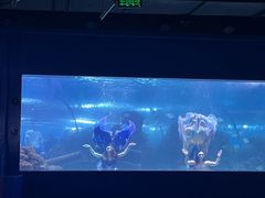 -重庆欢乐海底世界