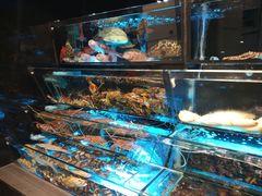 -彩福皇宴(皇室堡店)