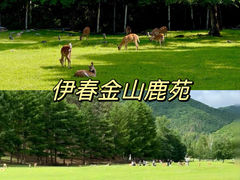 -五营国家森林公园