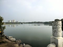 -大兴滨河森林公园