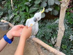 -南宫五洲植物乐园