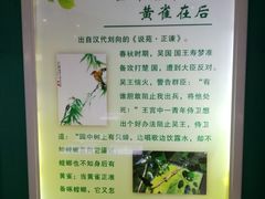 -上海昆虫博物馆