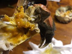 -馬蘭花開(车站大道店)