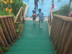 -苏州乐园森林水世界