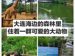 -大连森林动物园