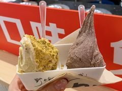 -野人先生现做冰淇淋(西安赛格店)