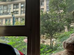 -咖法森林·咖啡  酒吧(天河店)