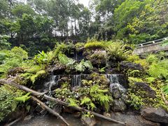 -深圳仙湖植物园
