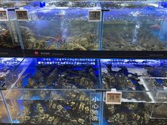 -永辉线上超市(鲁谷店)