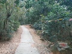 -汕头莲花山度假村温泉