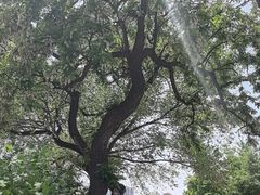 -太阳宫公园