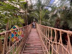 -呀路古热带植物园
