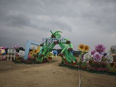 -空港花田景区