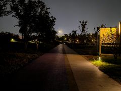 -蟠龙天地-P2停车场