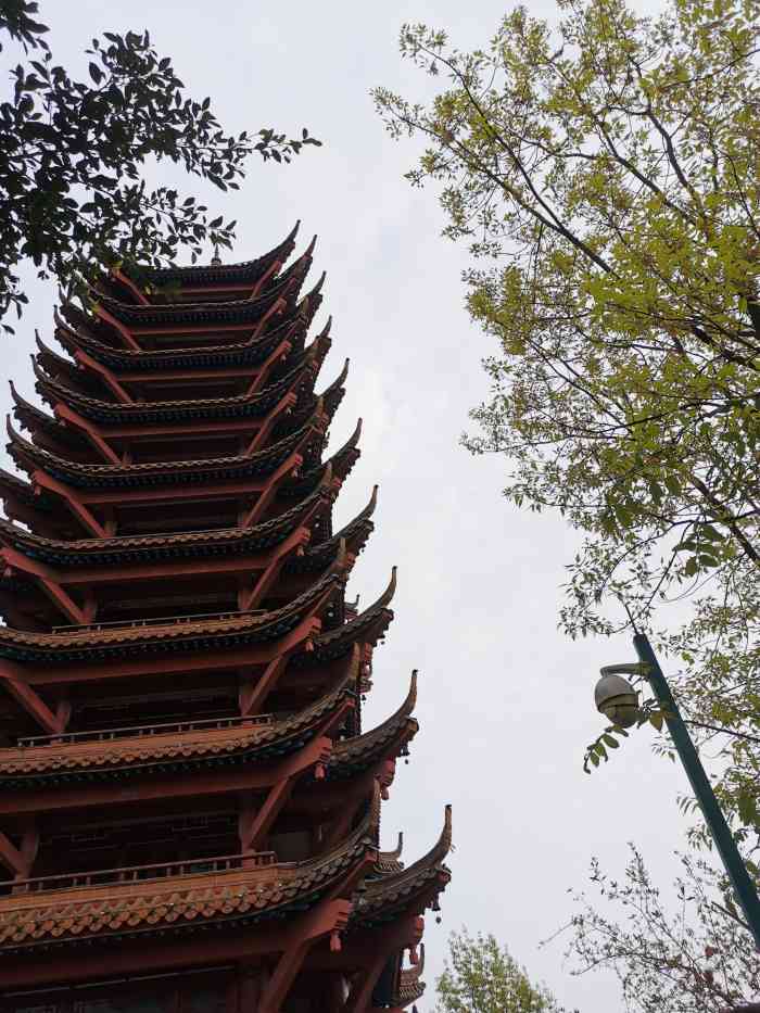 照母山森林公园-"周末出来放风,选了个不太远的照母山我记.