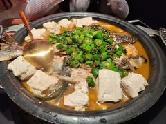 -探鱼·鲜青椒爽麻烤鱼(番禺万达店)