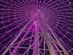 -横店影视城梦幻谷园区