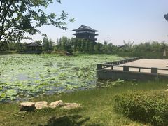 -东台西溪天仙缘景区