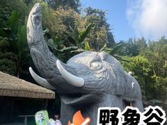 -野象谷景区