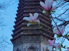 -玲珑塔公园