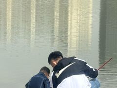 -青城公园