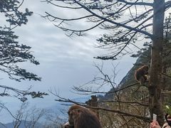 -峨眉山风景名胜区