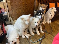-长白山万达锦华套房酒店