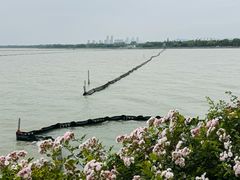 -贡湖湾湿地公园