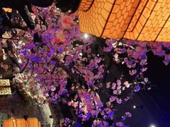 -绿茶餐厅(松江万达店)