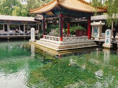 -趵突泉景区